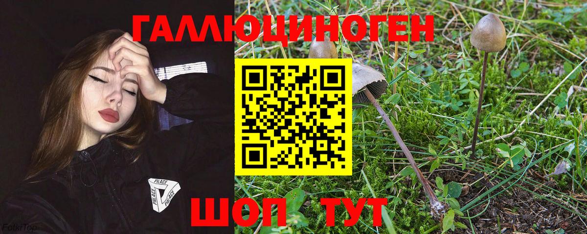 Краснотурьинск  Галлюциногенные грибы мухоморы  наркошоп  Псилоцибиновые грибы Magic Shrooms  Вход с VPN 